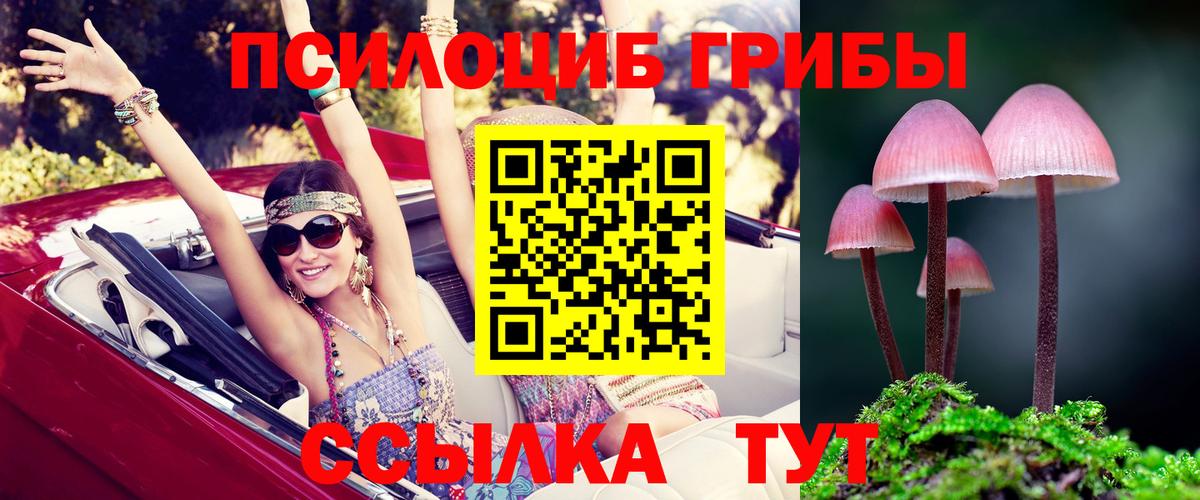 Псилоцибиновые грибы MAGIC MUSHROOMS Новокузнецк
