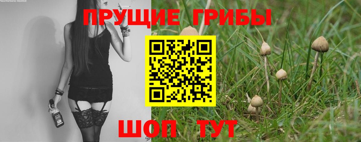 Галлюциногенные грибы прущие грибы  цены   Новокузнецк  Вход с VPN 